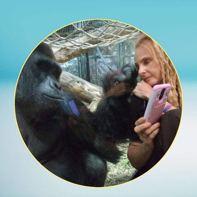 How Gorillas Helped Me Understand Humans – Dawn Prince-Hughes on Autism & Belonging - podcast episode cover