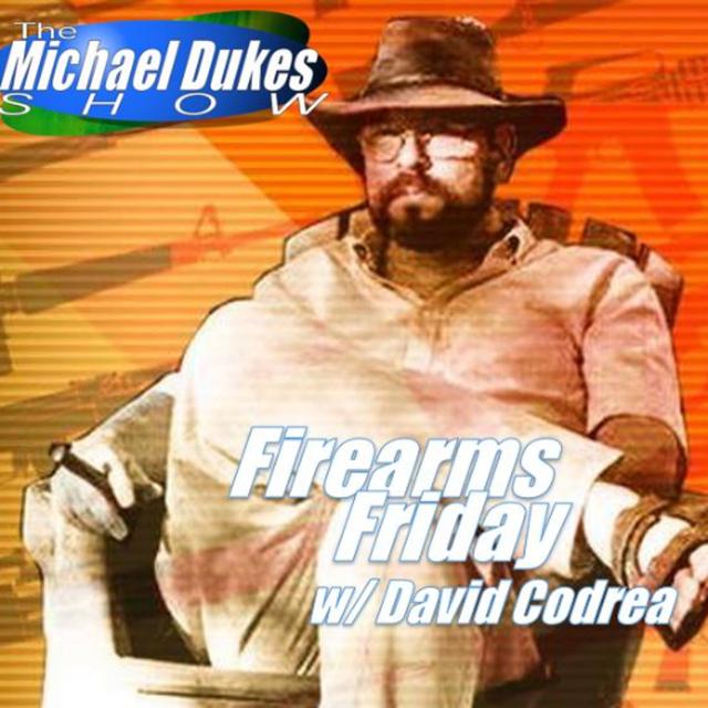 Friday 8/29/25 | David Codrea | Headlines, Calls | Willie Waffle - podcast episode cover