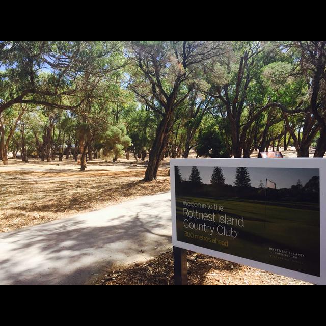 Rottnest Island: White playground - podcast episode cover