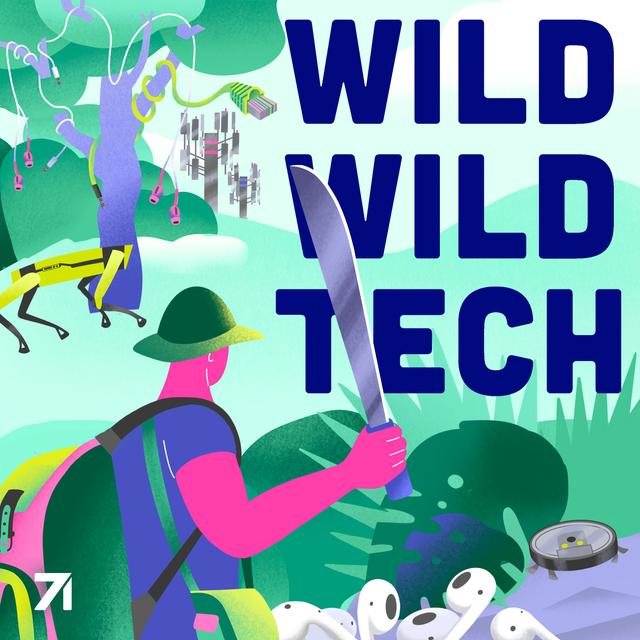 Wild Wild Tech - podcast cover