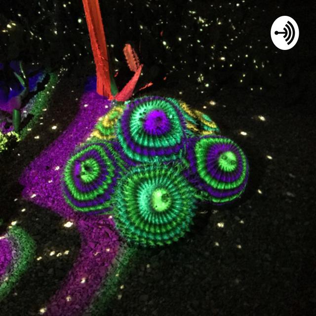 Twist’s Turn - podcast cover