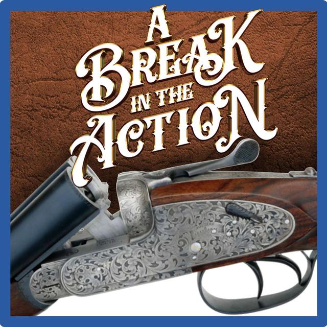 A Break in the Action - podcast cover