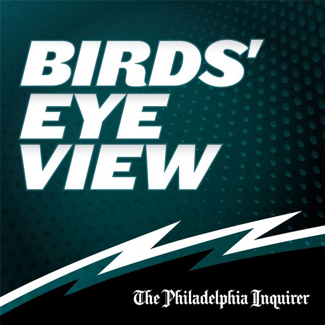 Birds' Eye View: an Eagles podcast - podcast cover