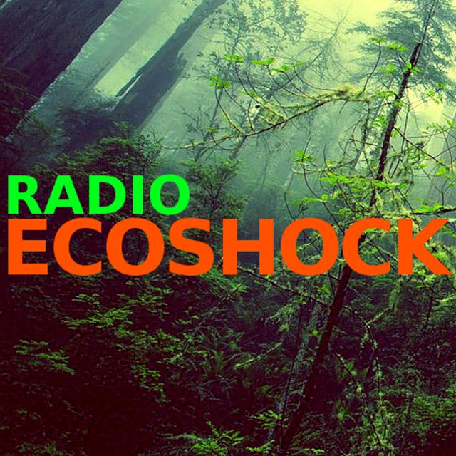 The RADIO ECOSHOCK Show - podcast cover
