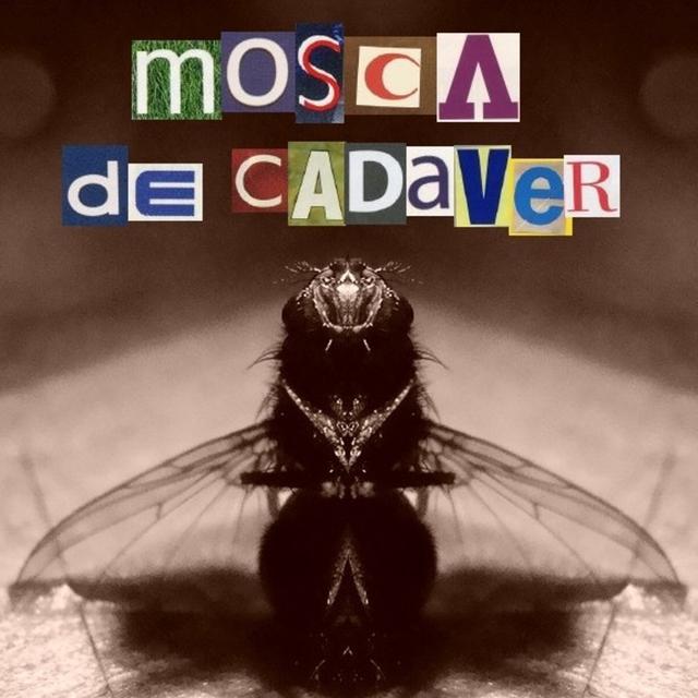 Mosca de Cadaver - podcast cover