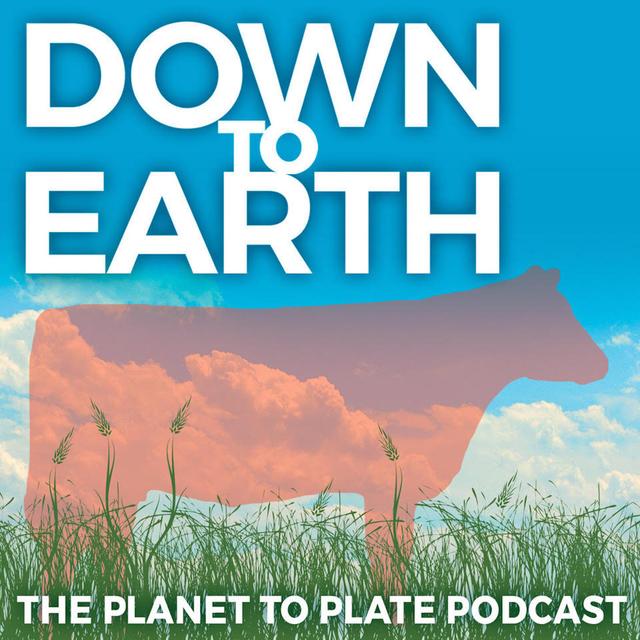 Down to Earth: The Planet to Plate Podcast - podcast cover