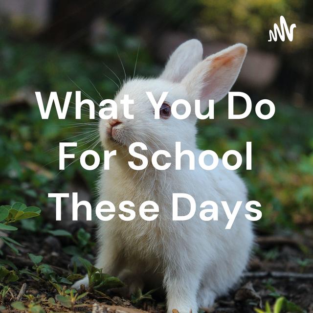 What You Do For School These Days - podcast cover