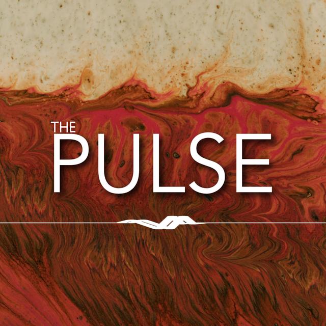 The Pulse Podcast by On Mission - podcast cover