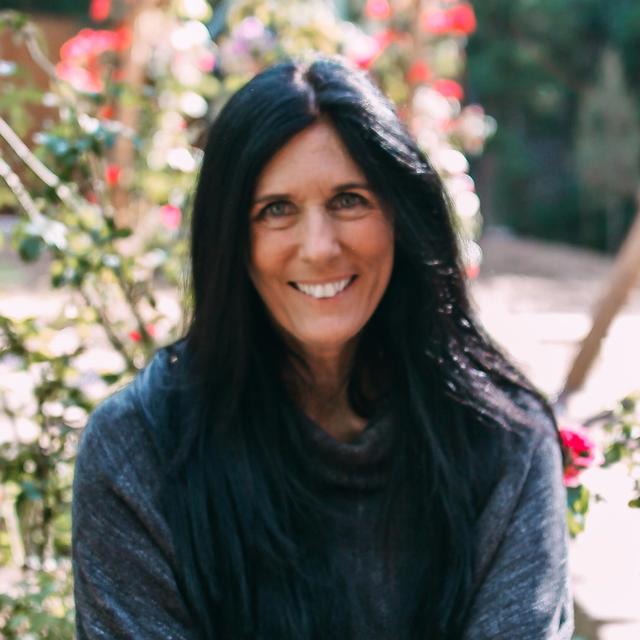 The Healthy Lowdown with Dr. Low Dog - podcast cover