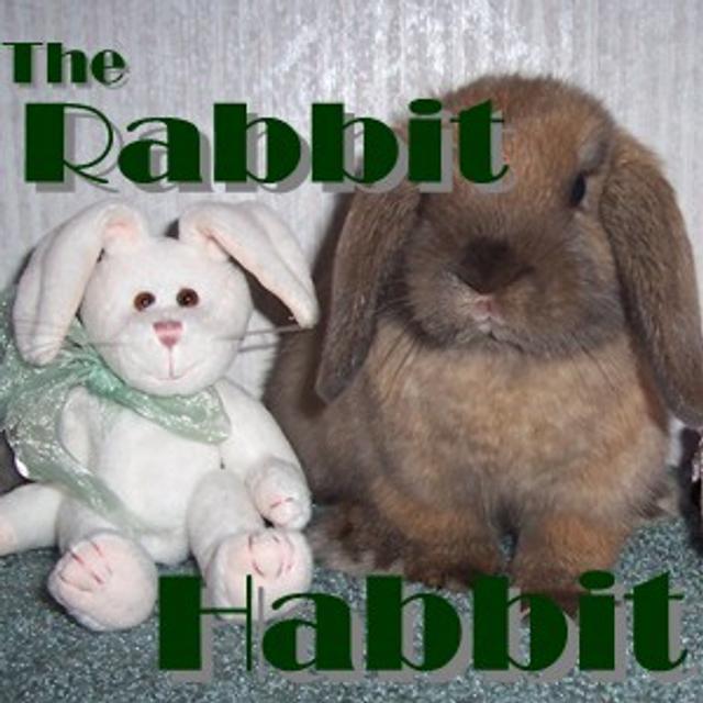 The Rabbit Habbit - podcast cover