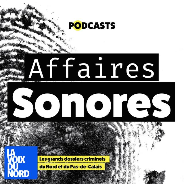 Affaires Sonores, le récit des grandes affaires criminelles du Nord Pas-de-Calais - podcast cover
