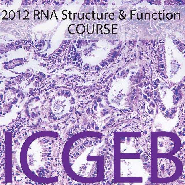 2012 Rna Structure and Function - podcast cover