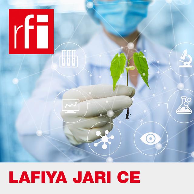 Lafiya Jari ce - podcast cover