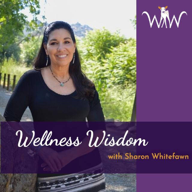 Wellness Wisdom - podcast cover