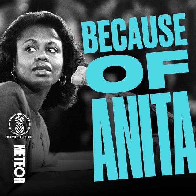 Because of Anita - podcast cover