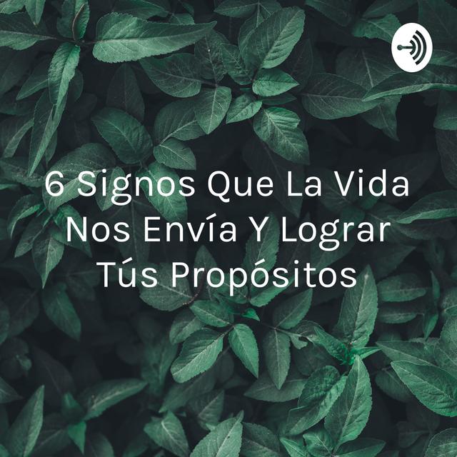6 Signos Que La Vida Nos Envía Y Lograr Tús Propósitos - podcast cover