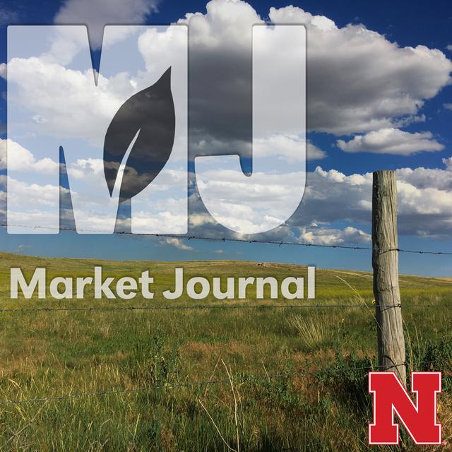 Market Journal - podcast cover