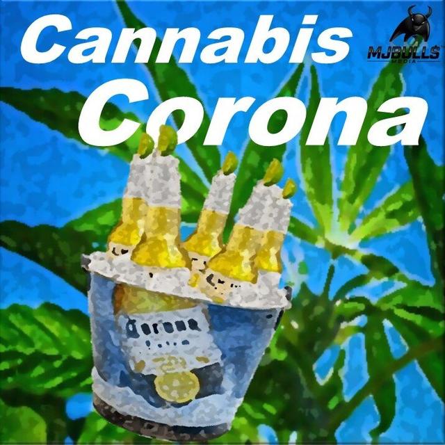 Cannabis and Corona - podcast cover