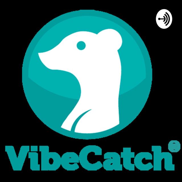 VibeCatch Podcast - podcast cover
