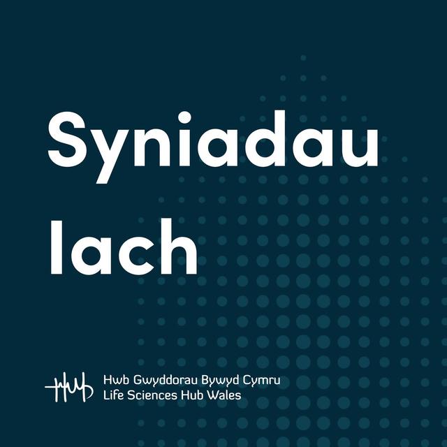 Syniadau Iach - podcast cover