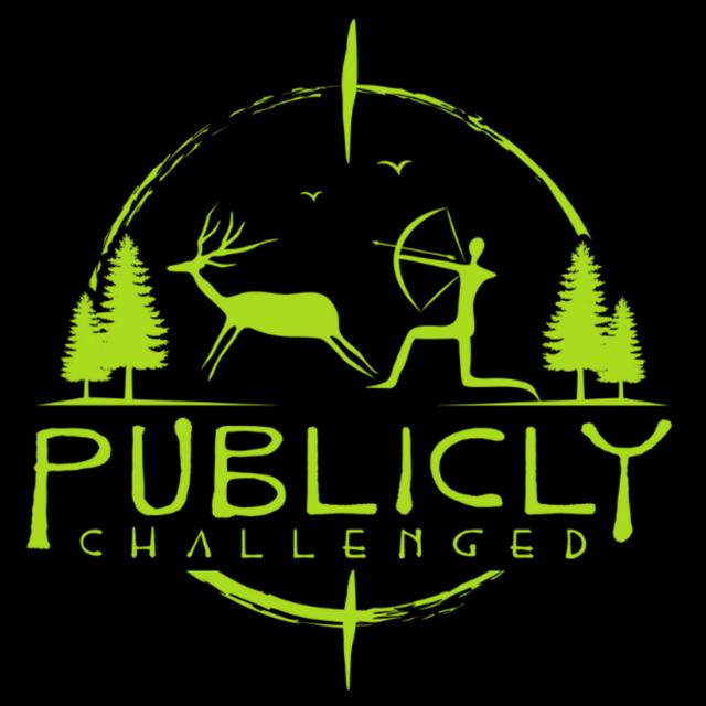 Publicly Challenged - podcast cover