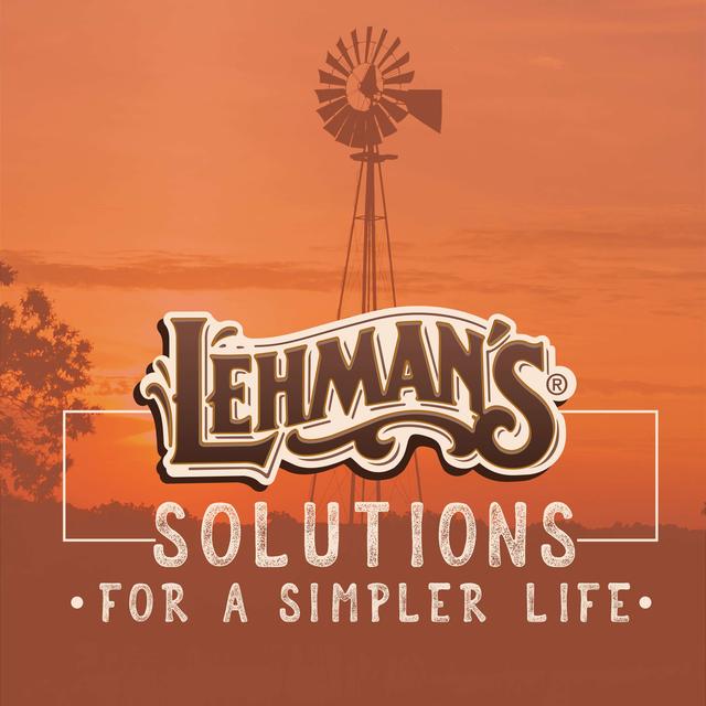 Solutions for a Simpler Life - podcast cover
