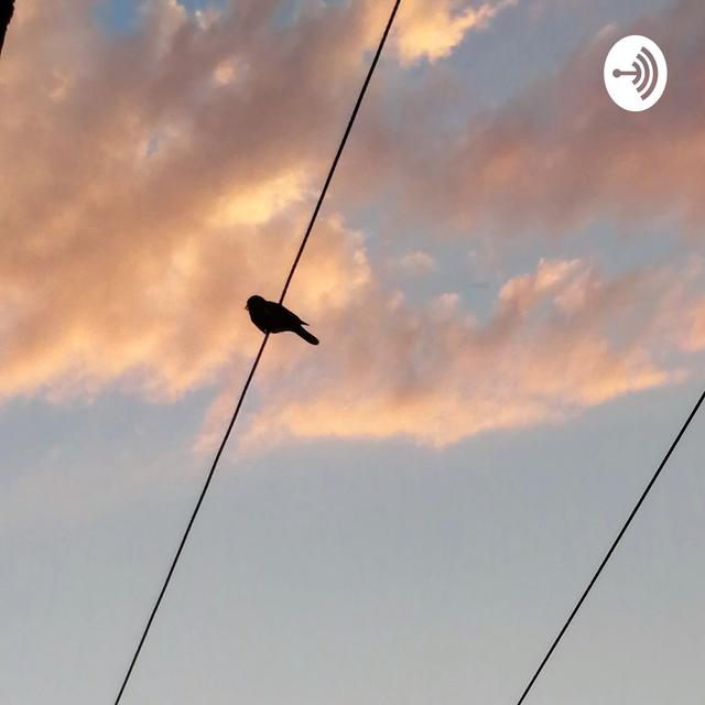 Mentiras Acerca De Mí Cap. 6 - podcast cover