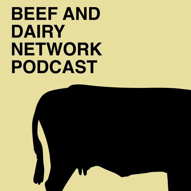 Beef And Dairy Network - podcast cover