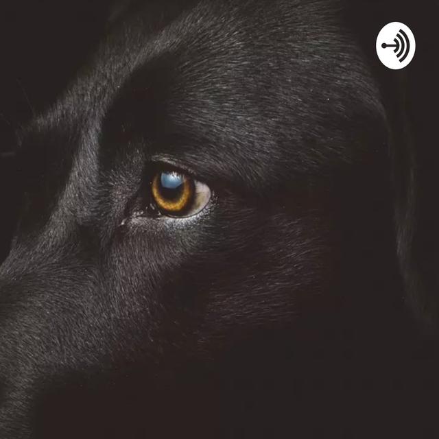 Ngobrol Santai - podcast cover