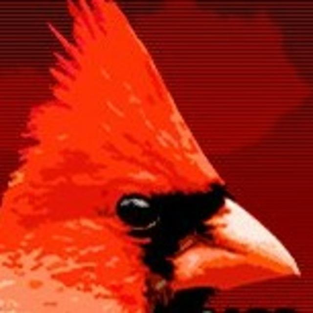 CC Podcast: For Louisville Cardinals Fans - podcast cover