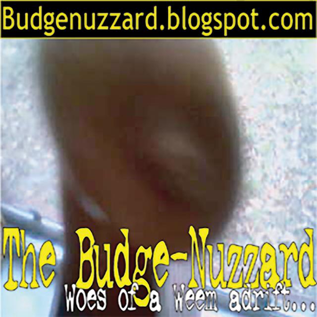 The Budge Nuzzard - podcast cover