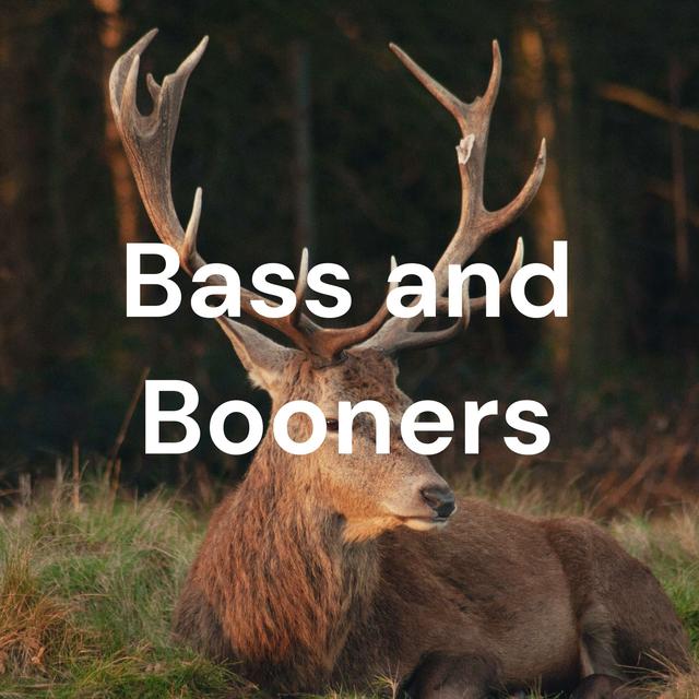 Bass and Booners - podcast cover