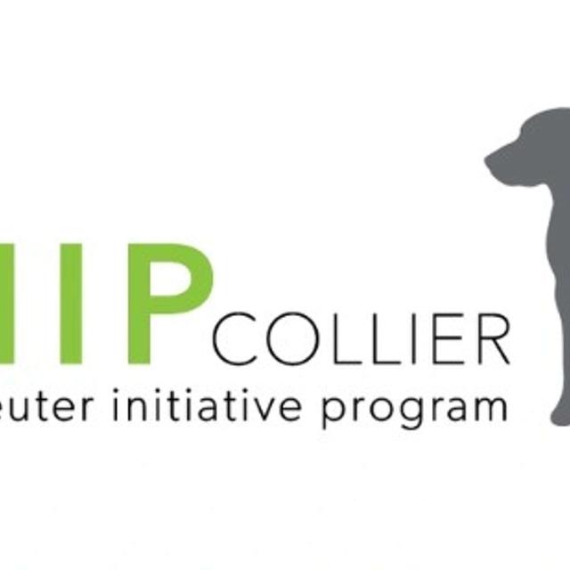 The SNIP Collier Paw-dcast - podcast cover