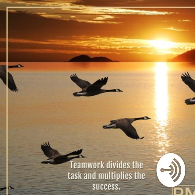 Leadership Aficionado - podcast cover