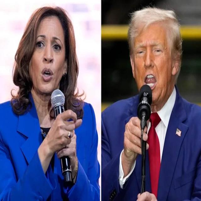 Harris and Trump - Podcast Interviews - podcast cover