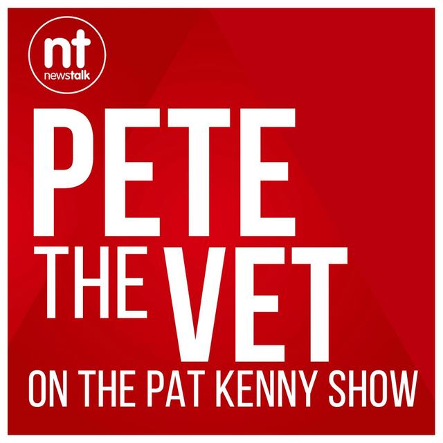 Pete the Vet - podcast cover