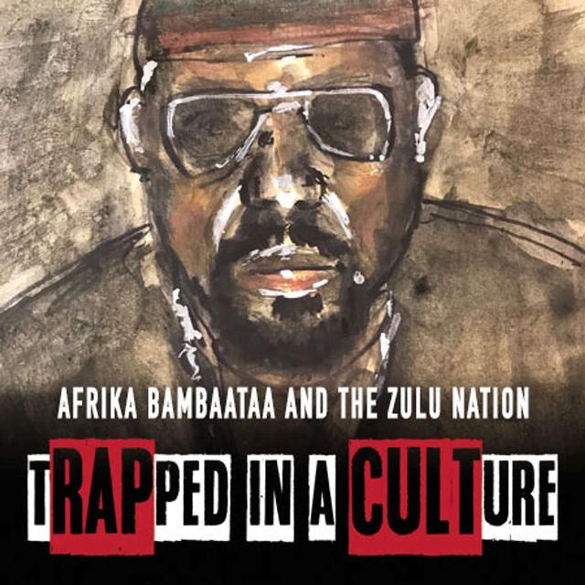 Trapped In A Culture - Leila Wills - podcast cover