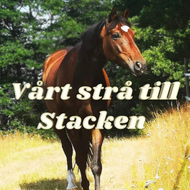 Vårt strå till Stacken - podcast cover