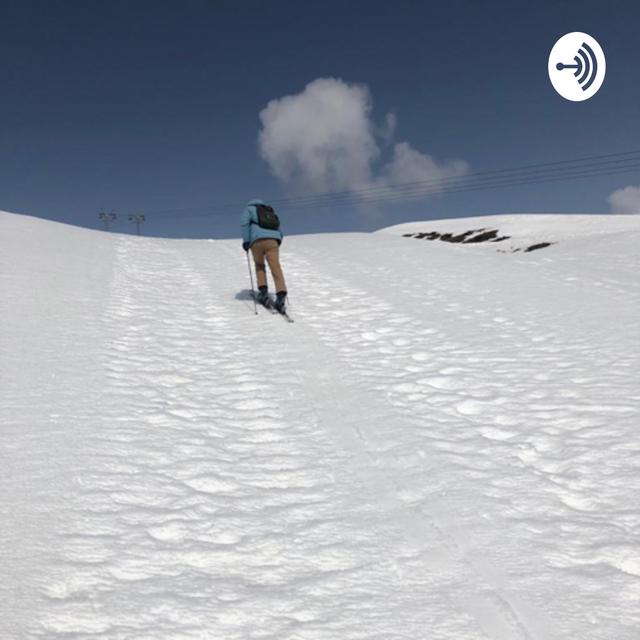Der Mässige Podcast - podcast cover