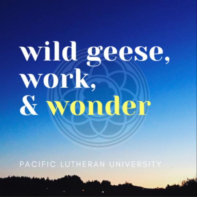 Wild Geese, Work, and Wonder - podcast cover