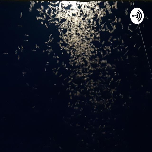 Zonaku - podcast cover
