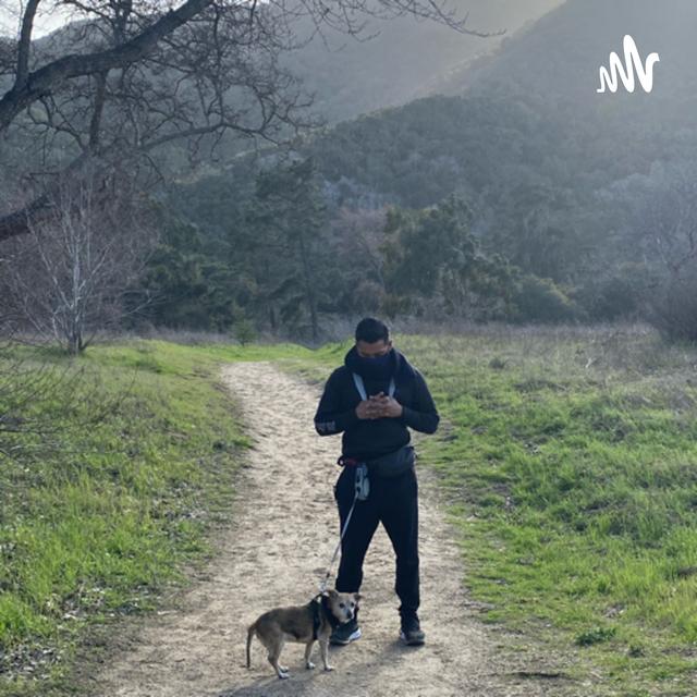 Silicon Valley Trainer Podcast - podcast cover