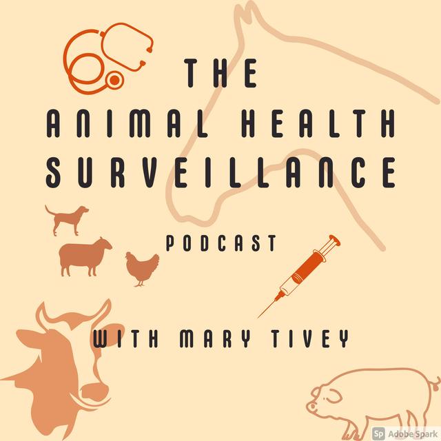 A conversation about Equine Surveillance - podcast episode cover