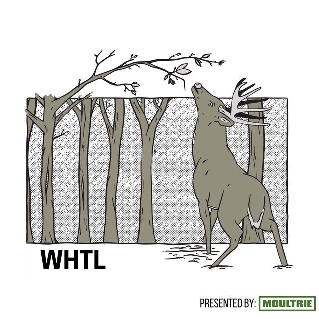 The WHTL Podcast - Whitetail Deer Hunting Tactics, Stories & Expert Guests - podcast cover