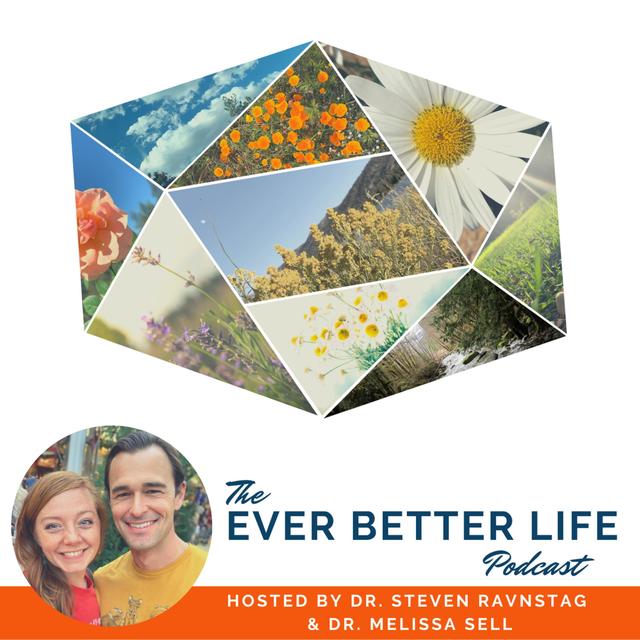The Ever Better Life Podcast - podcast cover