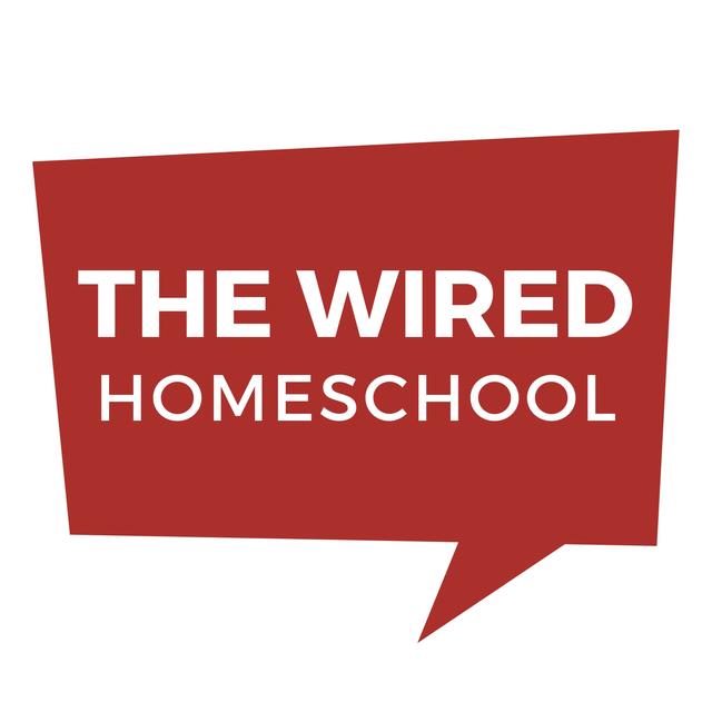 How to Homeschool Like Elon Musk - podcast episode cover