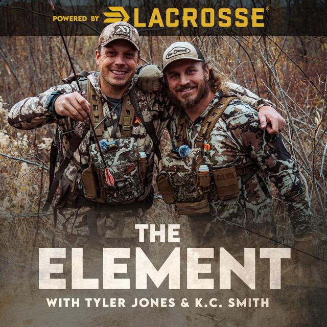 The Element - podcast cover