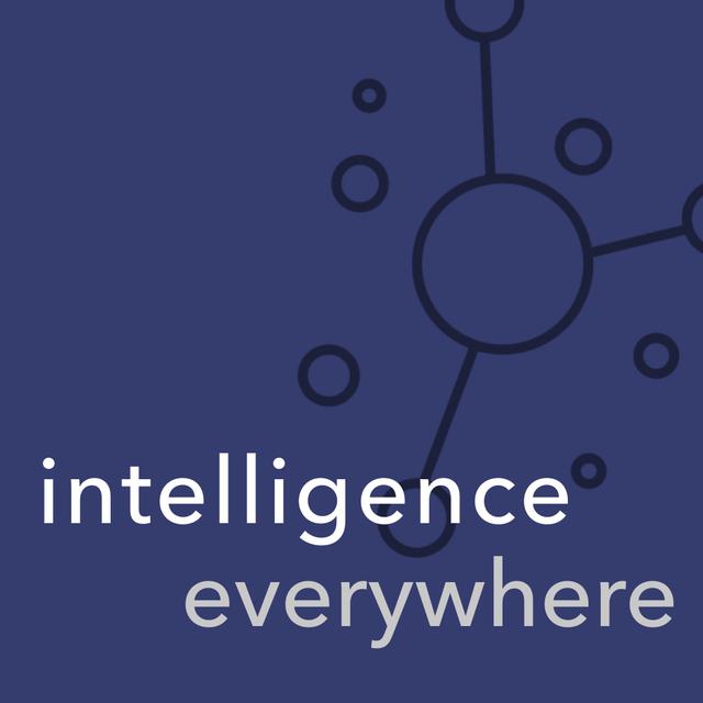 Intelligence Everywhere - podcast cover