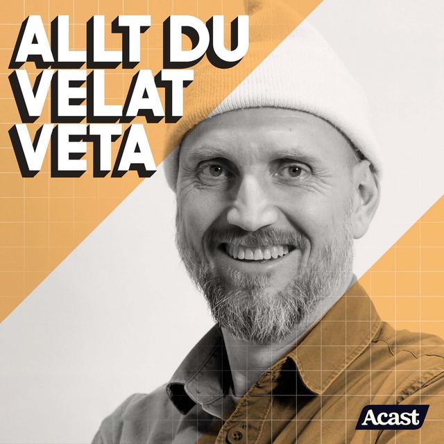 Allt du velat veta - podcast cover