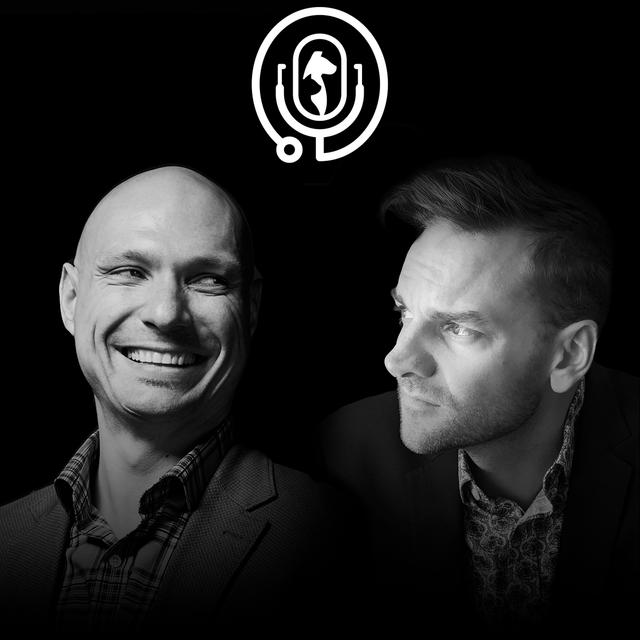 Veterinary Innovation Podcast - podcast cover